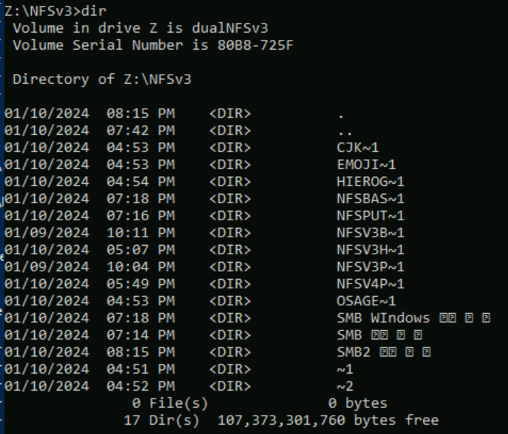 Screenshot of dir output.