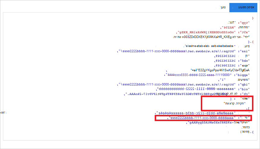 צילום מסך שמראה את האסימון הפענוח.