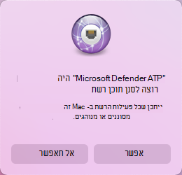 צילום מסך שמראה את העדפות האבטחה של הרחבת המערכת2