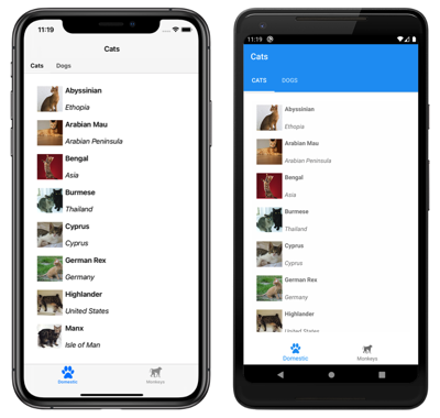 Shell two page app with top and bottom tabs Screenshot of a Shell two page app with top and bottom tabs, on iOS and Android