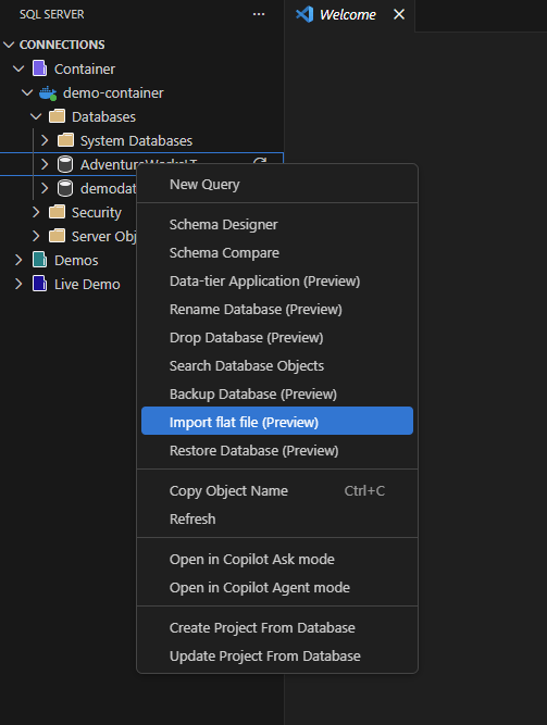 Screenshot of the Import flat file option in the Object Explorer context menu.