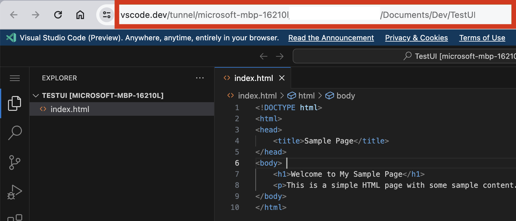 צילום מסך של תצוגת הלקוח.