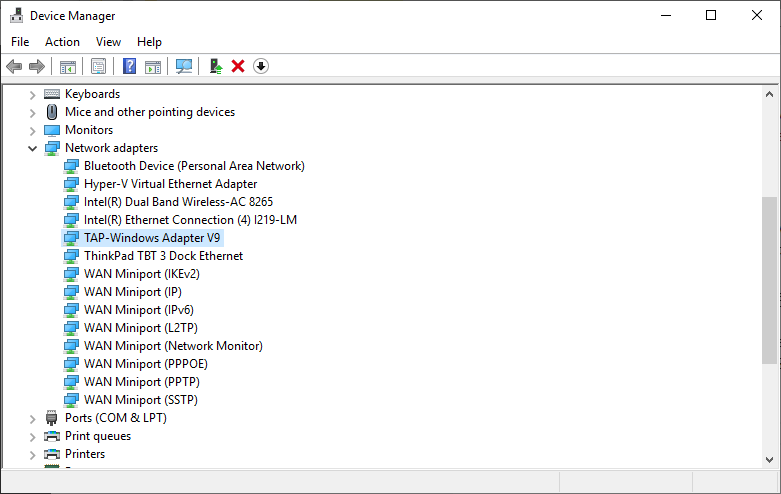 Device Manager with TAP adapter