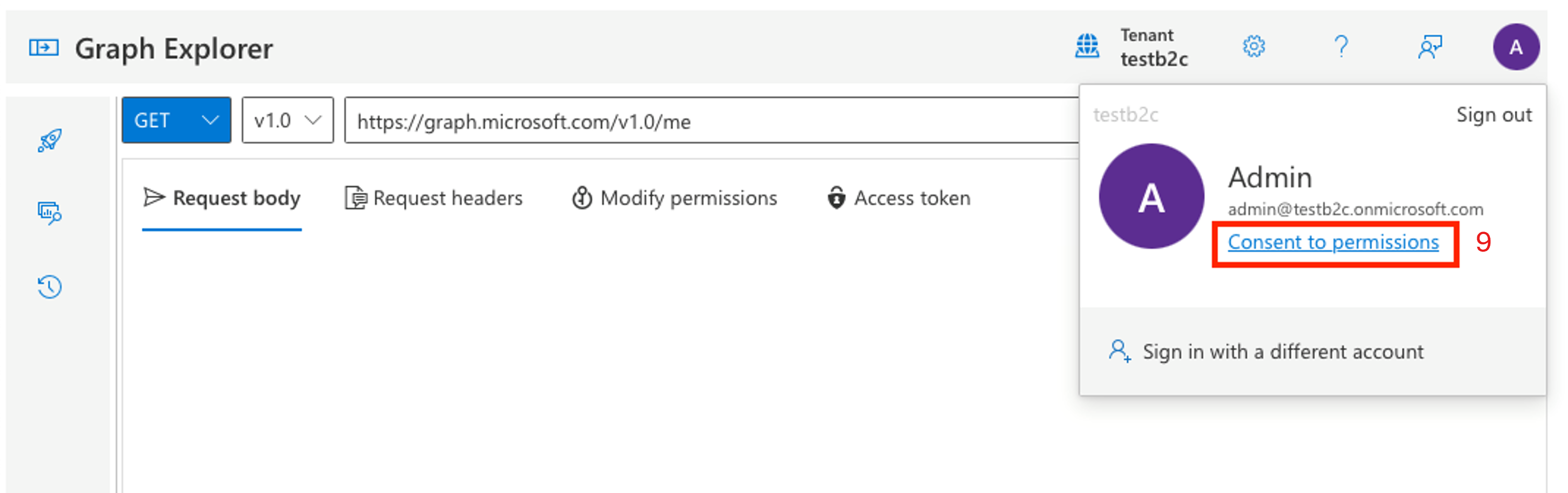 Screenshot showing Graph consent for test user.