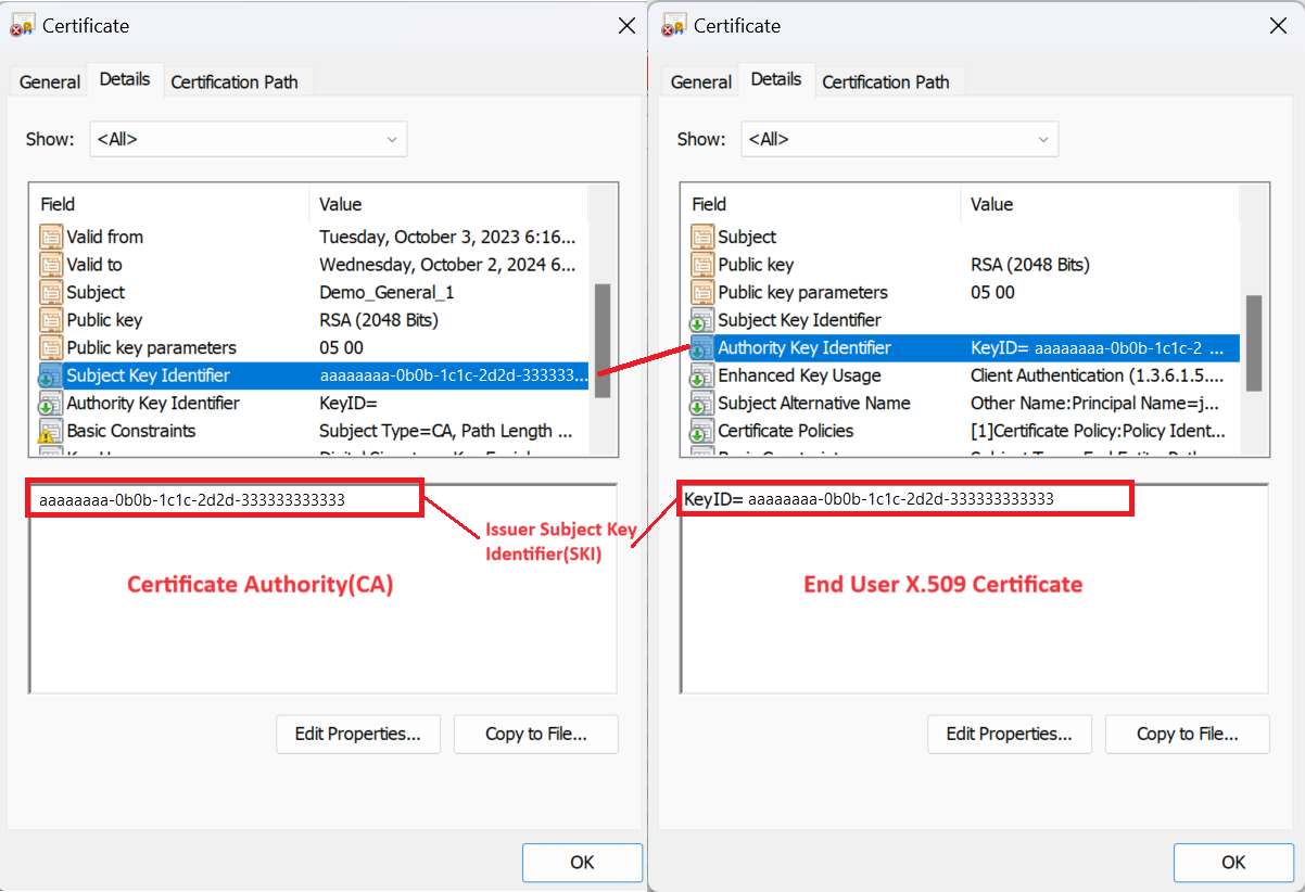 Screenshot showing an authority key identifier.