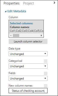 Properties for Edit Metadata