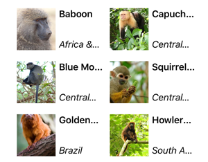 CollectionView Screenshot of a CollectionView