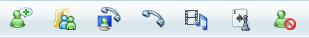 screen shot of toolbar with large, unlabeled icons