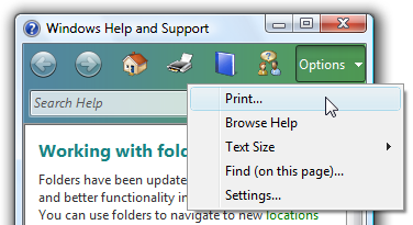 screen shot of print command on toolbar and menu