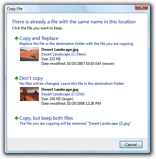 screen shot of copy file dialog box and thumbnails