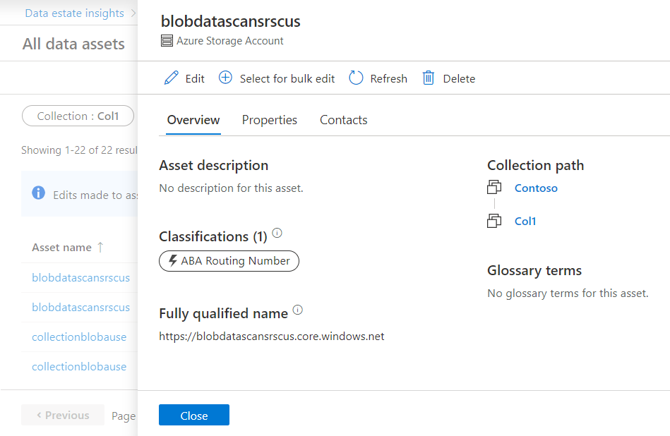 Screenshot of the asset list screen, with an asset selected for editing and the asset edit screen open within the Data Estate Insights application.