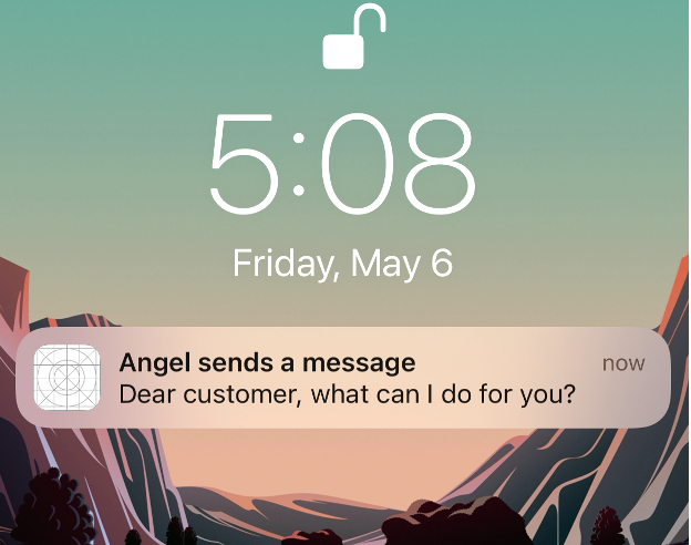 Screenshot of the advanced version of a push notification.