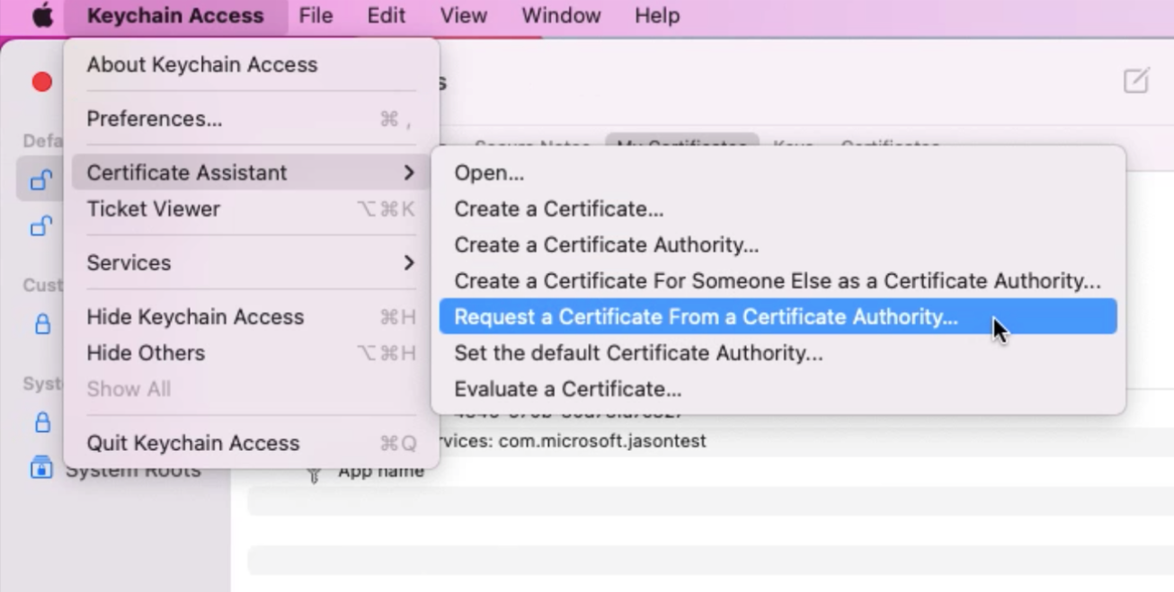 Screenshot that shows selections for requesting a certificate from a certificate authority.
