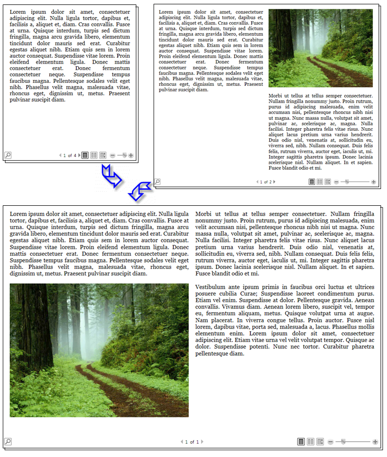 eDocs_FlowDocument Flow Document Content Reflow