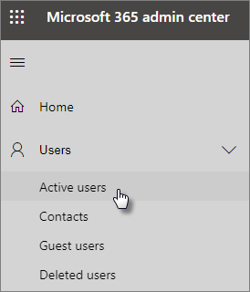 Choose Users and then Active users in the left nav.