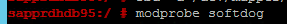 Képernyőkép egy konzolablak egy részére a modprobe softdog paranccsal.