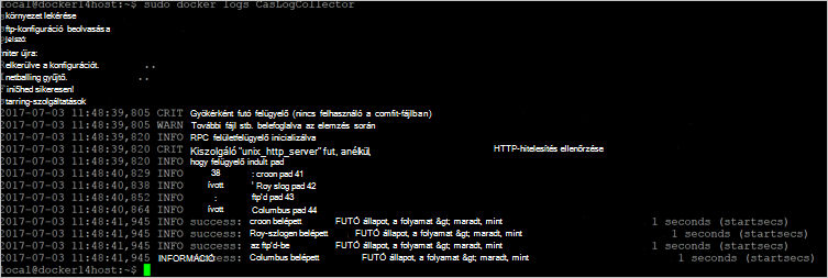Képernyőkép egy parancsról, amelyet a gyűjtő megfelelően futtat.