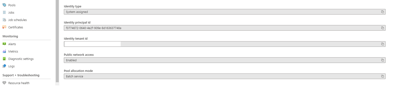 Képernyőkép egy egyedi GUID azonosítóról az Identity principal ID mezőben.