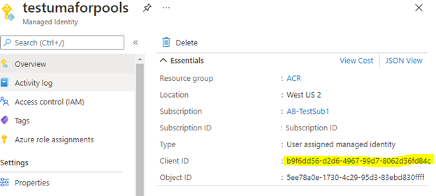 Képernyőkép egy felhasználó által hozzárendelt felügyelt identitás ügyfélazonosítójáról az Azure Portalon.