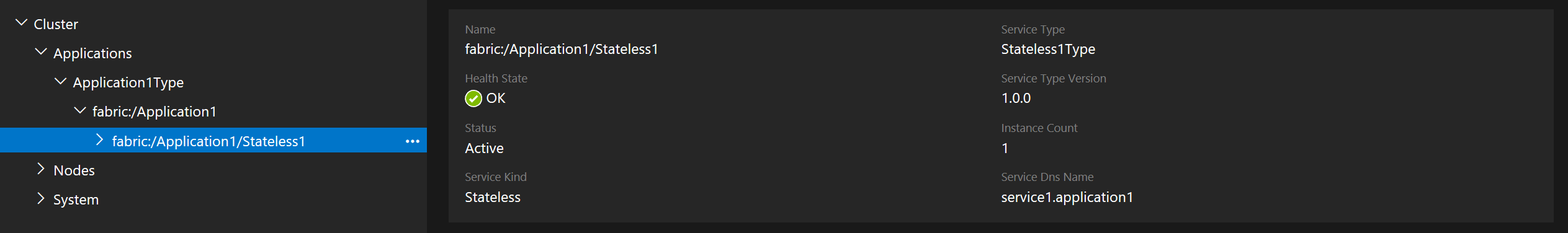 Képernyőkép a DNS-névről a Service Fabric Explorer.
