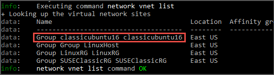 Képernyőkép a parancssorról, amelyen a teljes virtuális hálózat neve ki van emelve.