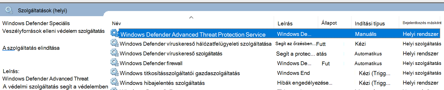 A Szolgáltatások panel1 képe.