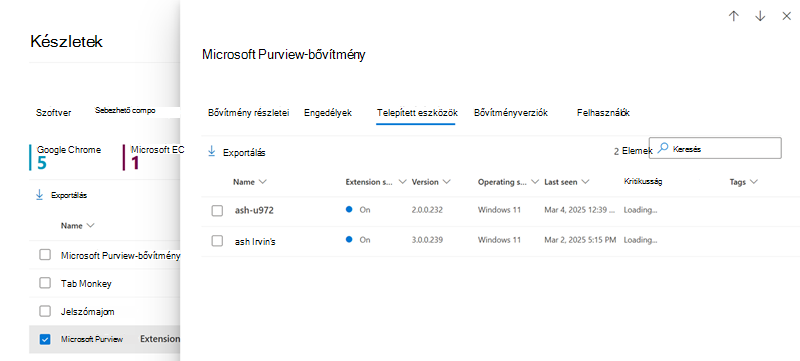 Képernyőkép a Böngészőbővítmények eszközök lapról