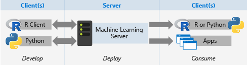 client server topology