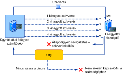 A szívverés folyamatának szemléltetése