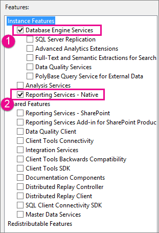 SSRS Native Mode Select in Feature Selection