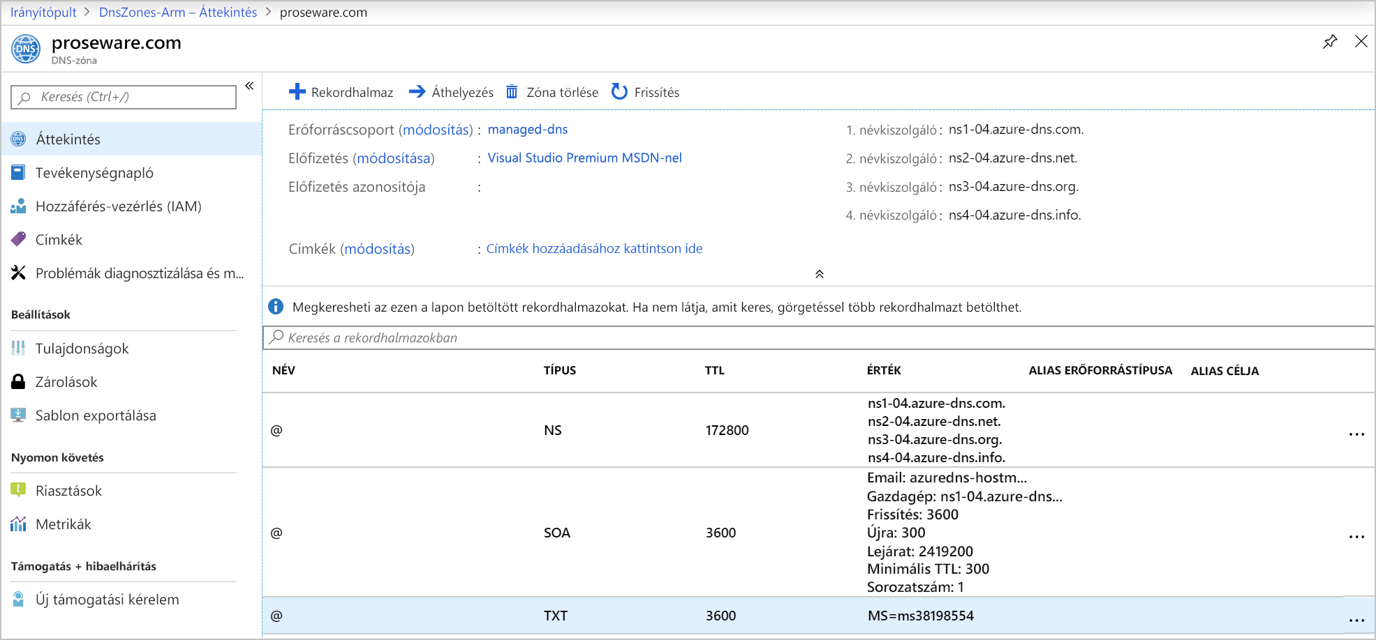 Screenshot of a domain registrar that shows a TXT record for the custom domain.