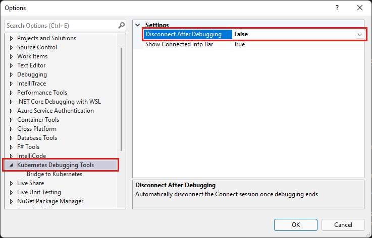 Screenshot shows the Disconnect After Debugging value in the Kubernetes Debugging Tools.