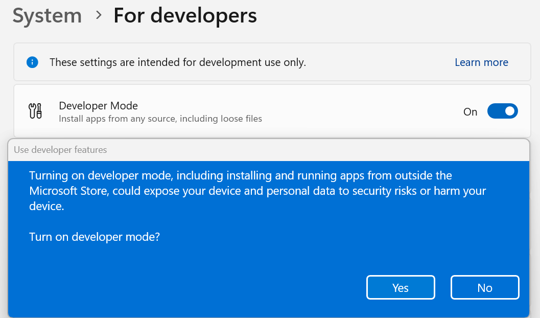Developer Mode settings entry