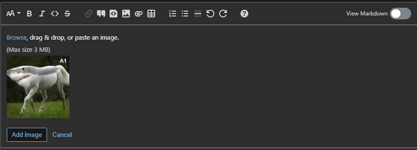 Pratinjau gambar di editor.