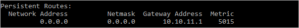 Rute yang ditambahkan ditampilkan sebagai Rute Persisten dengan Alamat Gateway 10.10.11.1 dan Metrik 5015.
