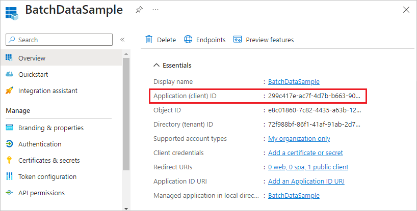 Cuplikan layar ID Aplikasi yang diperlihatkan di portal Microsoft Azure.