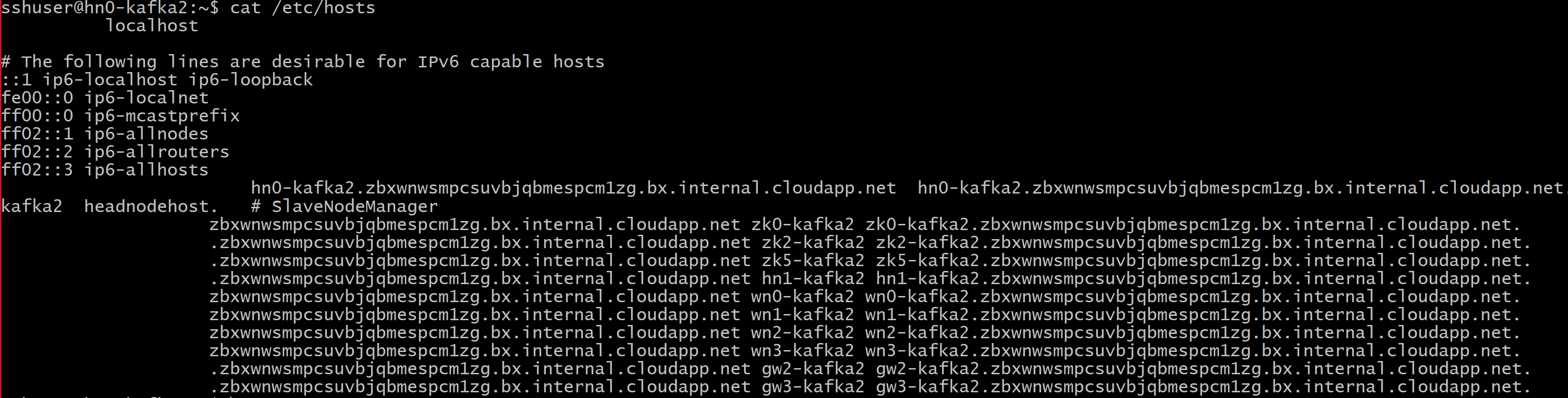 Cuplikan layar memperlihatkan output file host.