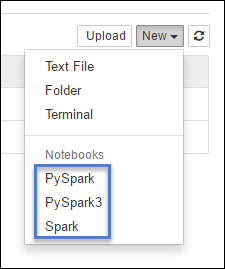 Kernel untuk Jupyter Notebook di Spark.