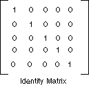 Cuplikan layar matriks identitas 5x5 untuk transformasi warna.