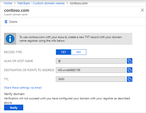 Cuplikan layar halaman Contoso dengan informasi entri DNS.