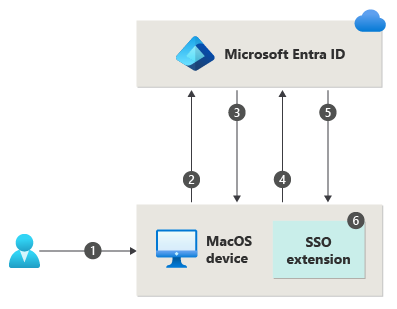 Diagram yang menguraikan langkah-langkah yang terlibat untuk masuk pengguna dengan macOS Platform SSO.