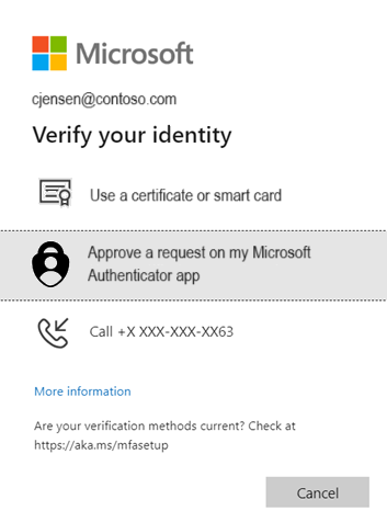 Cuplikan layar Verifikasi identitas Anda.
