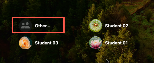 Cuplikan layar masuk macOS.