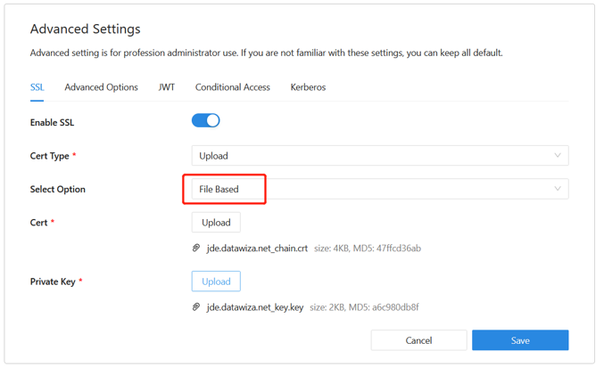 Cuplikan layar entri Berbasis File untuk Memilih Pilihan di bawah Pengaturan Tingkat Lanjut.