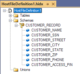 Cuplikan layar memperlihatkan tampilan artefak metadata di HIS Designer untuk file host.