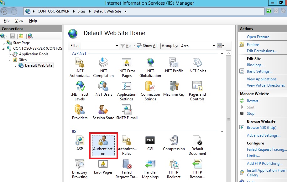 Cuplikan layar yang memperlihatkan panel Beranda Situs Web Default. Autentikasi dipilih.