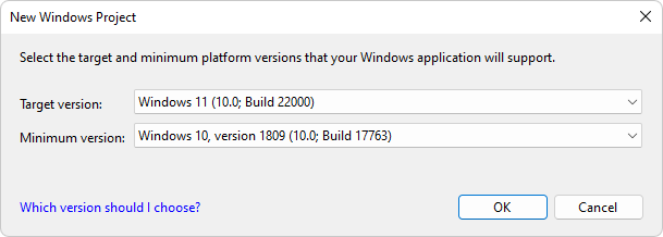 The 'New Windows Project' dialog