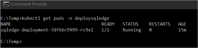 Cuplikan layar perintah dapatkan pod.