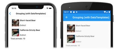 Cuplikan layar footer grup yang dikustomisasi di CollectionView, di iOS dan Android