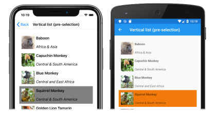 Cuplikan layar daftar vertikal CollectionView dengan pra-pilihan tunggal, di iOS dan Android